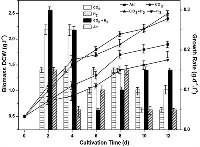 Photosynthetic and Lipogenic Response Under Elevated CO2 and H2 Conditions—High Carbon Uptake and Fatty Acids Unsaturation